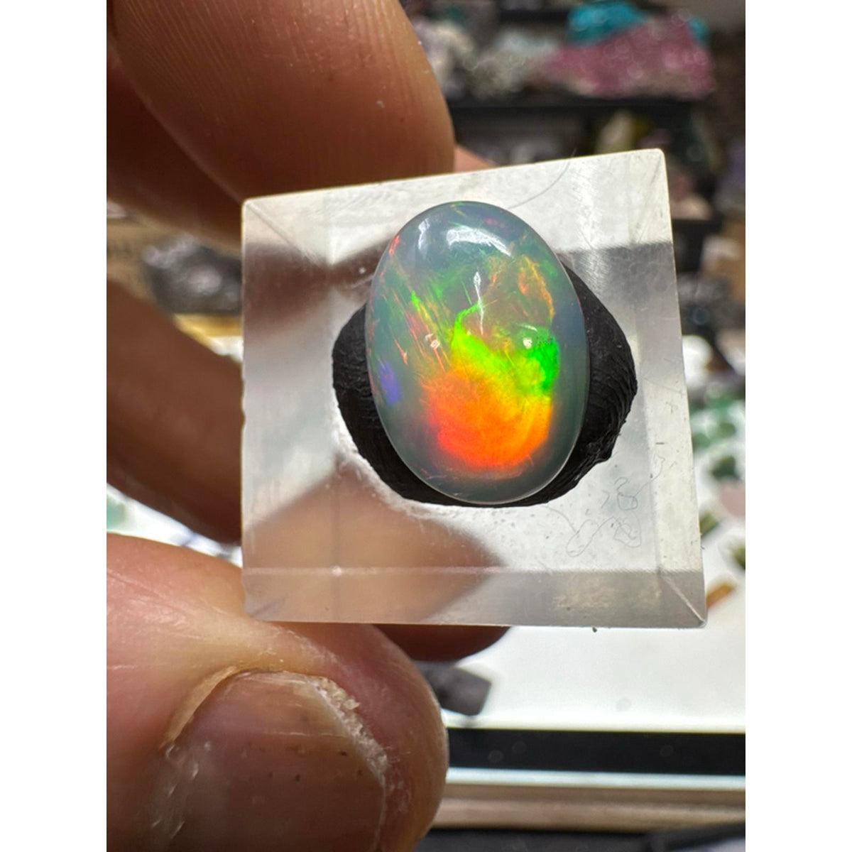 3.2 Carat Ethiopian Opal Cab #259 - Vibrant Rainbow Colors, High-Quality Gemstone, Perfect for Jewelry Making