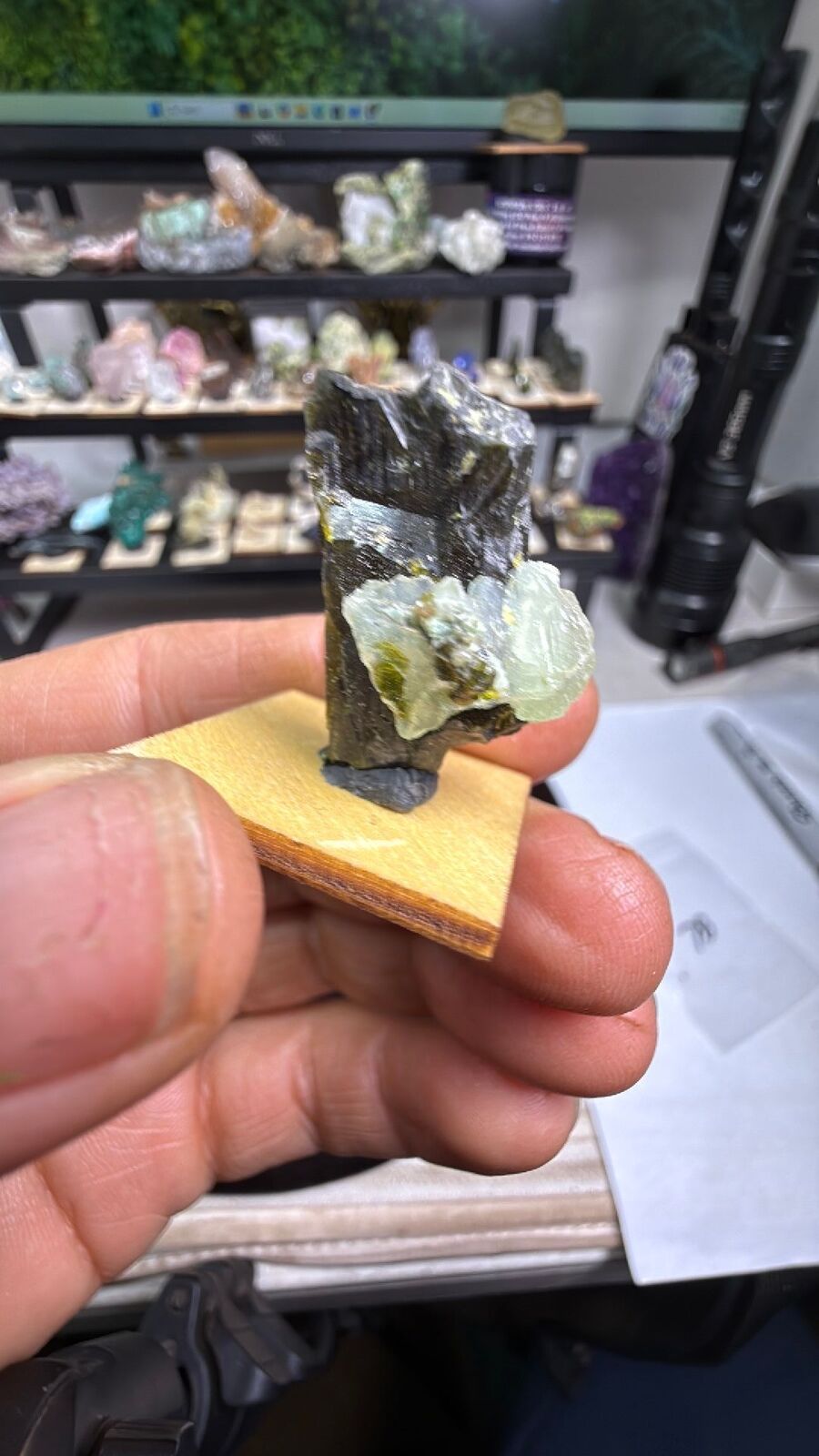 Present w/ epidote # 78