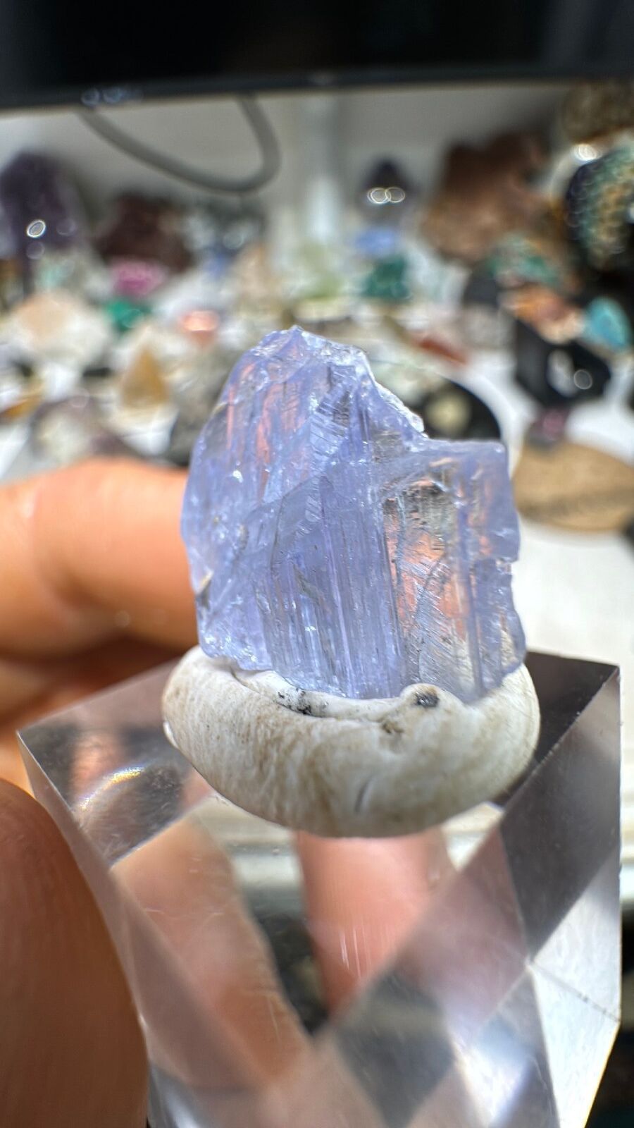 13ct Tanzanite Crystal #22