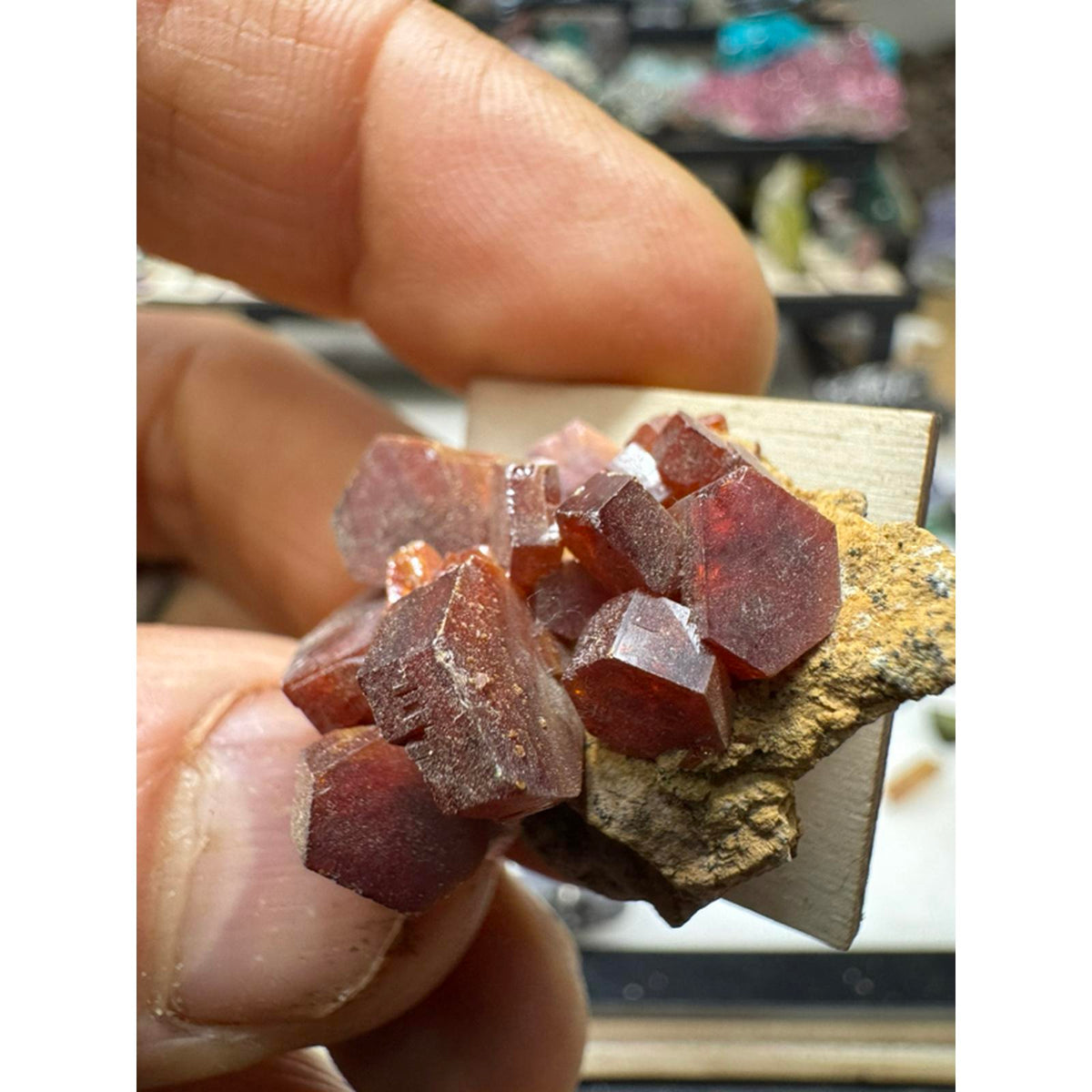 Vanadanite Cluster Specimen Large Crystals #229 - Natural Mineral Specimen with Large Crystals
