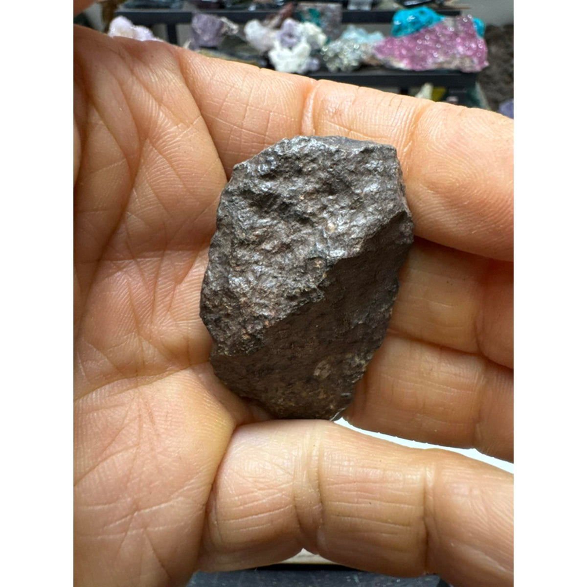 27 Gram Chondrite Meteorite Stony #261 from Morocco Authentic Space Rock for Collectors