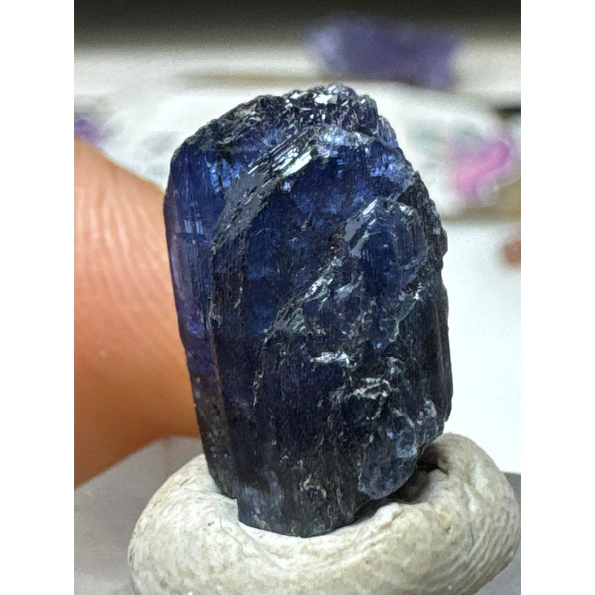 13.7 Carat Tanzanite Crystal Huge Terminated #234 Natural Gemstone for Collectors and Enthusiasts