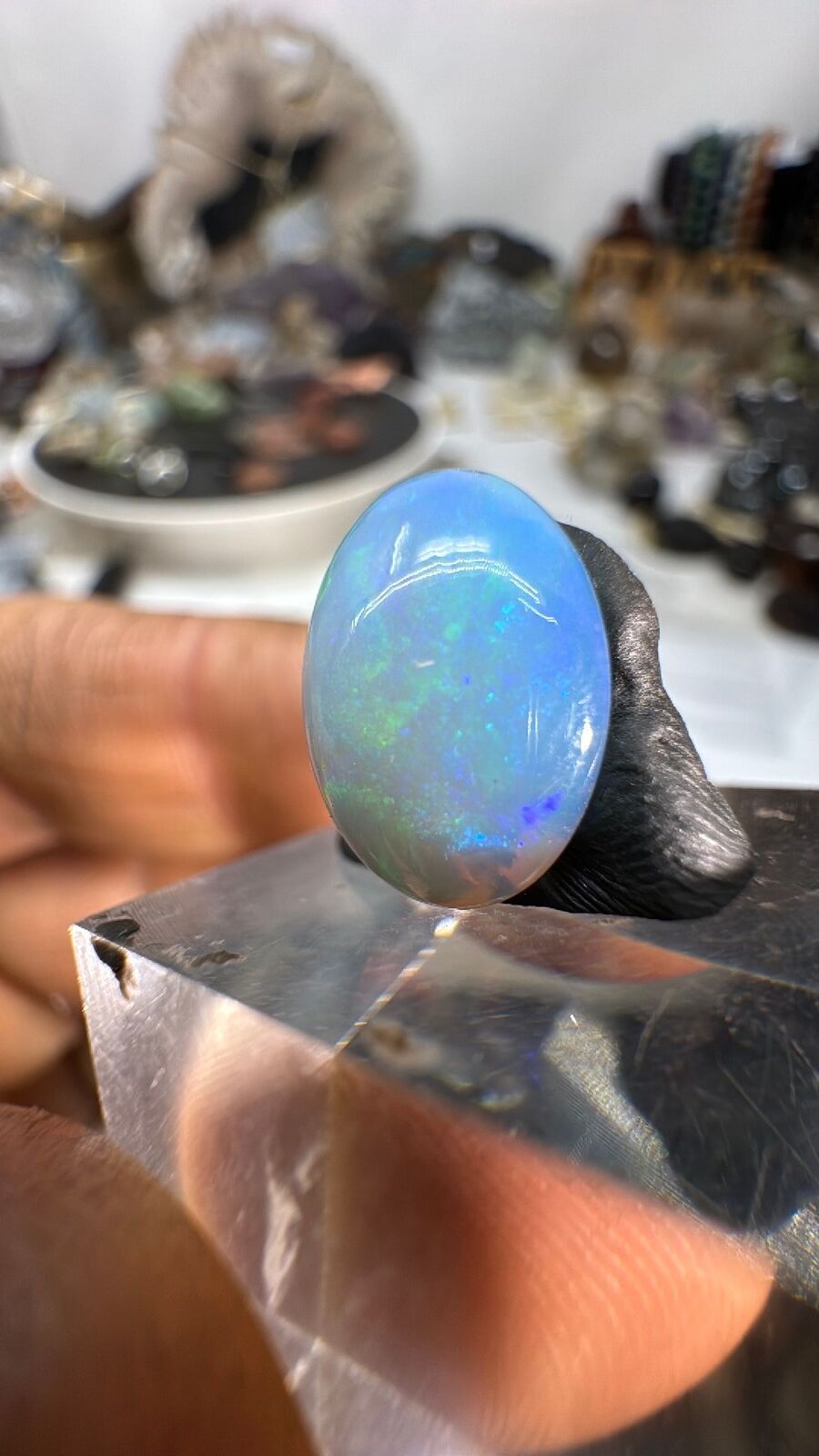 3.6ct Opal Cab #93