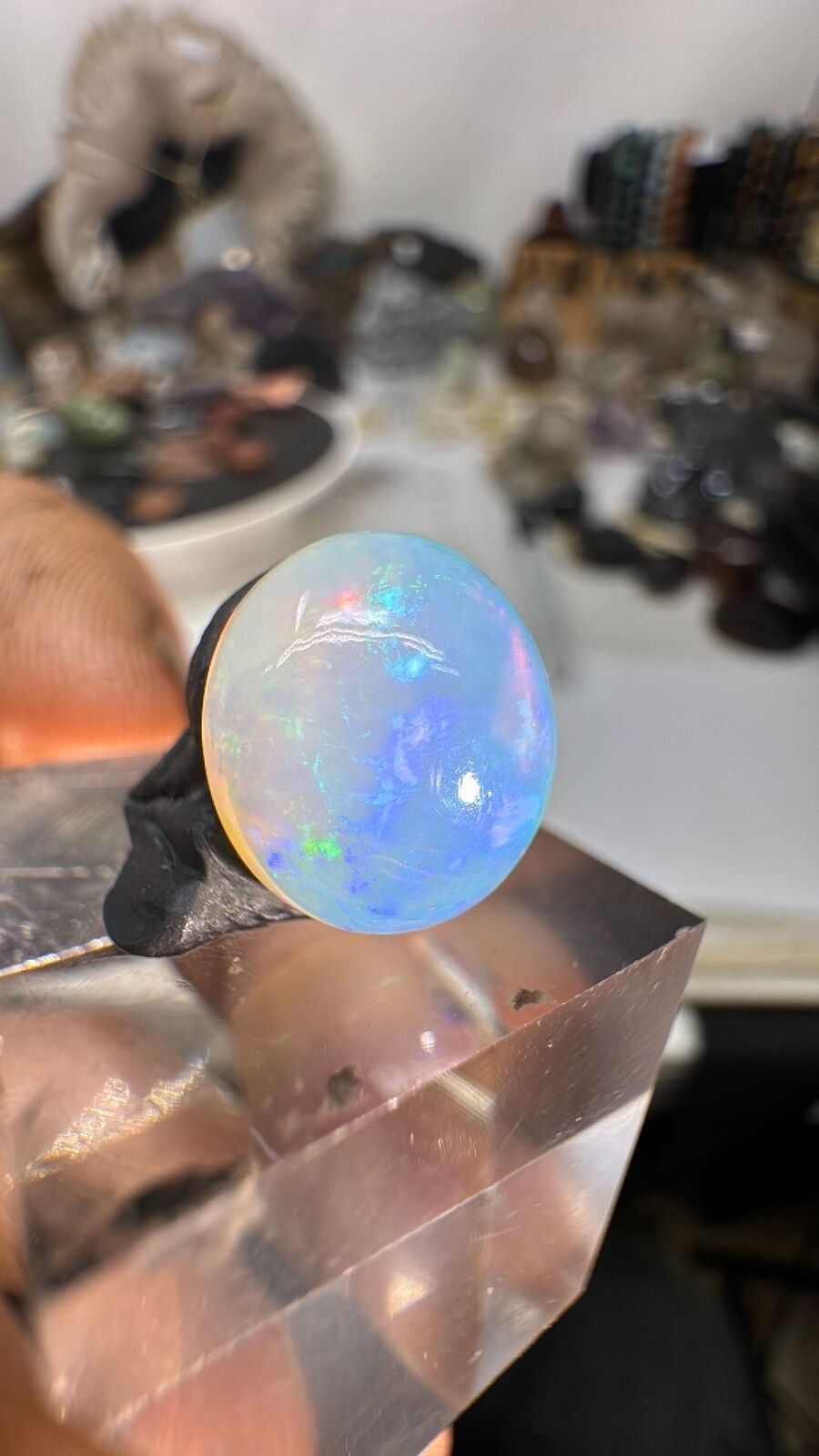 6.3ct Ethiopian Opal Cab #100