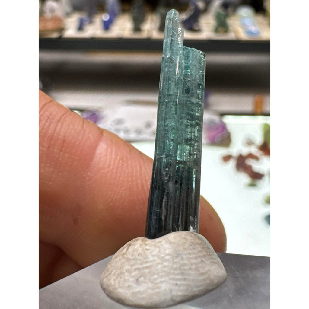 1.5 gram pech mine tourmaline crystal #249 from Afghanistan