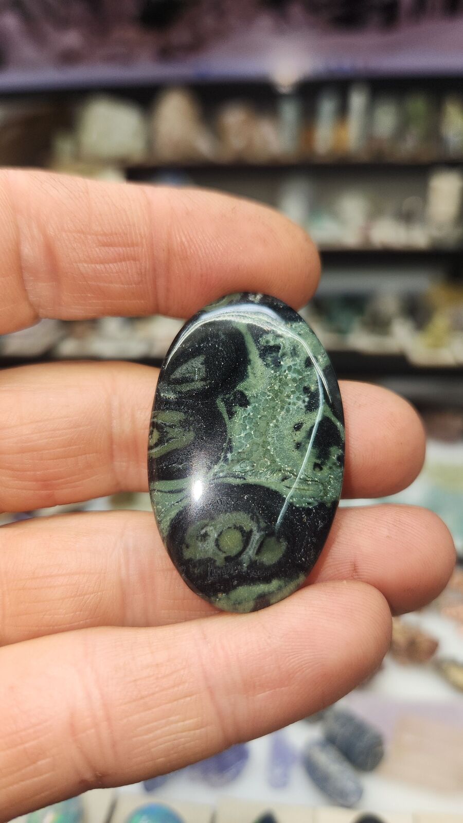 Kambaba Jasper #113