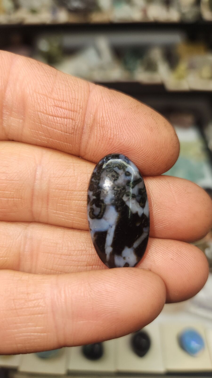 Indigo Gabbro #56