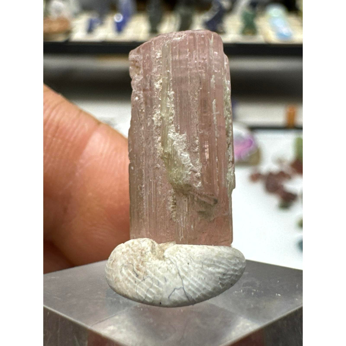 4.4 gram tourmaline crystal #248 from Afghanistan