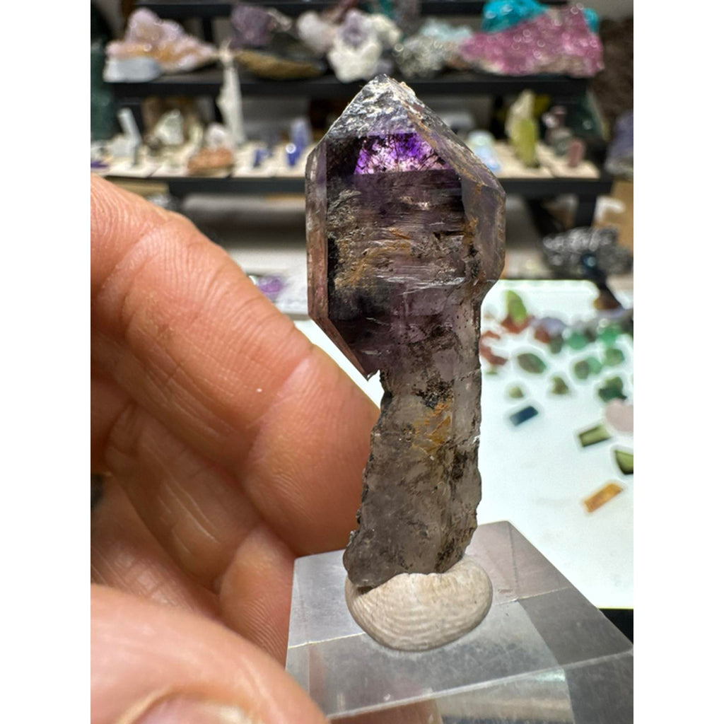 Zambian Amethyst Scepter #252 11 Gram AAA Grade Natural Crystal Specimen from Zambia