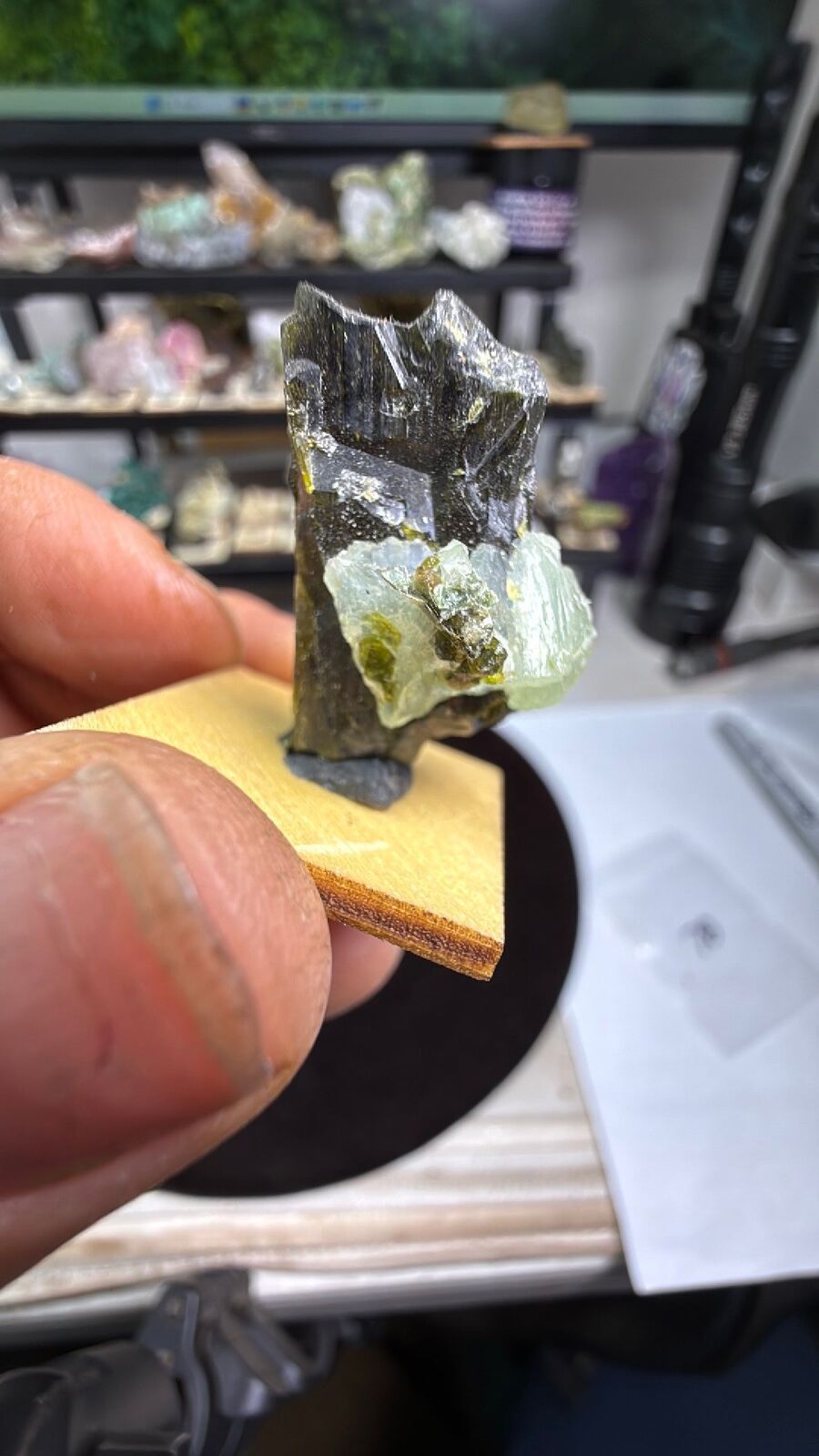 Present w/ epidote # 78