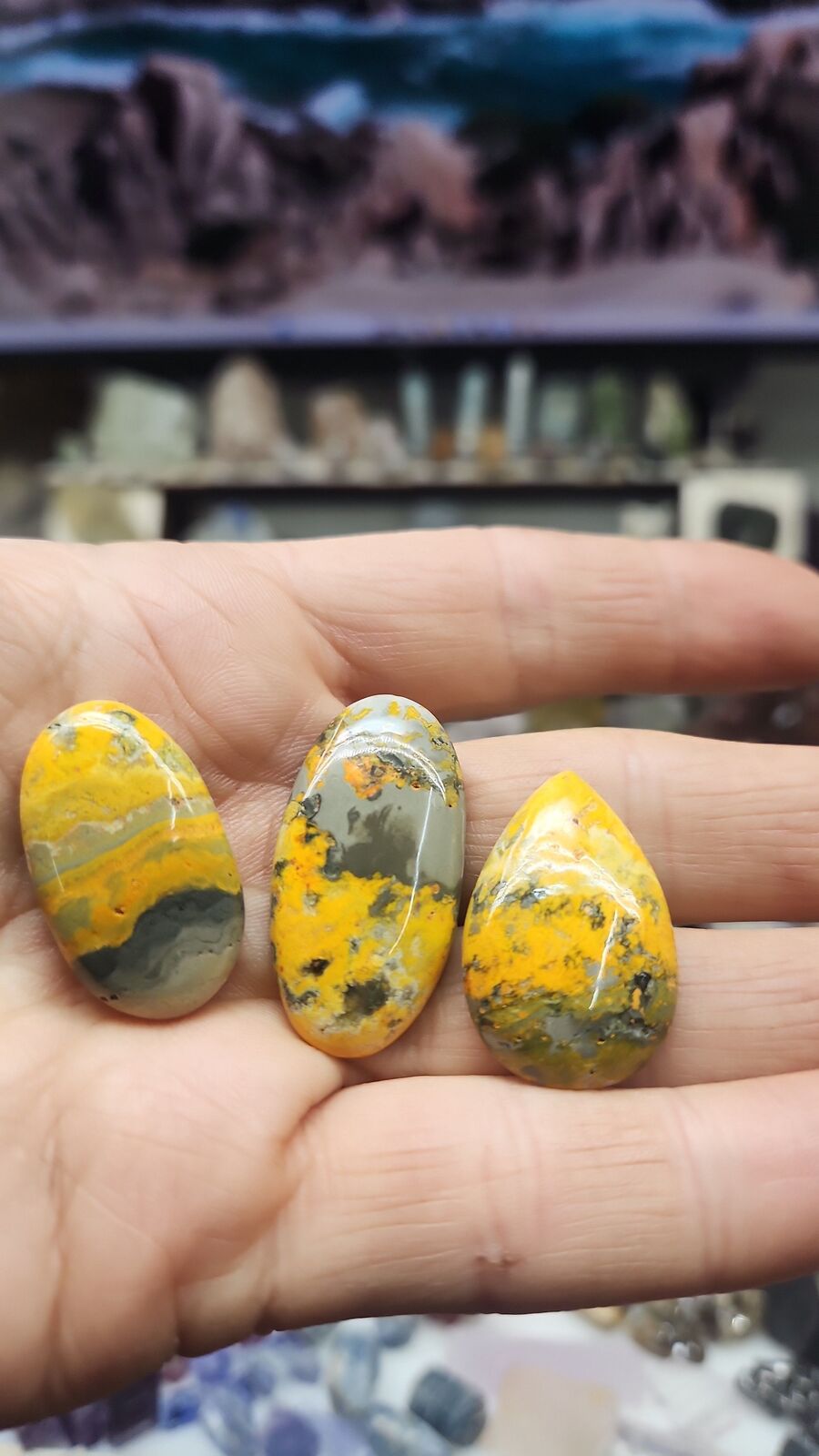 Bumblebee Jasper #201