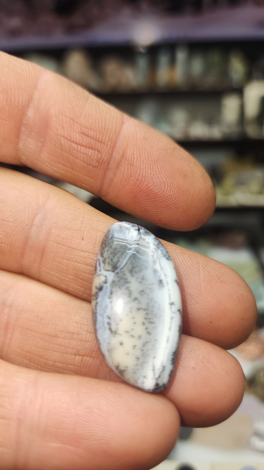 Dendritic Agate #192