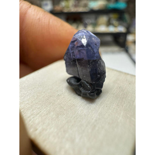 #216Tanzanite Terminated Crystal 3.8 Carats Natural Gemstone for Jewelry Making and Collecting