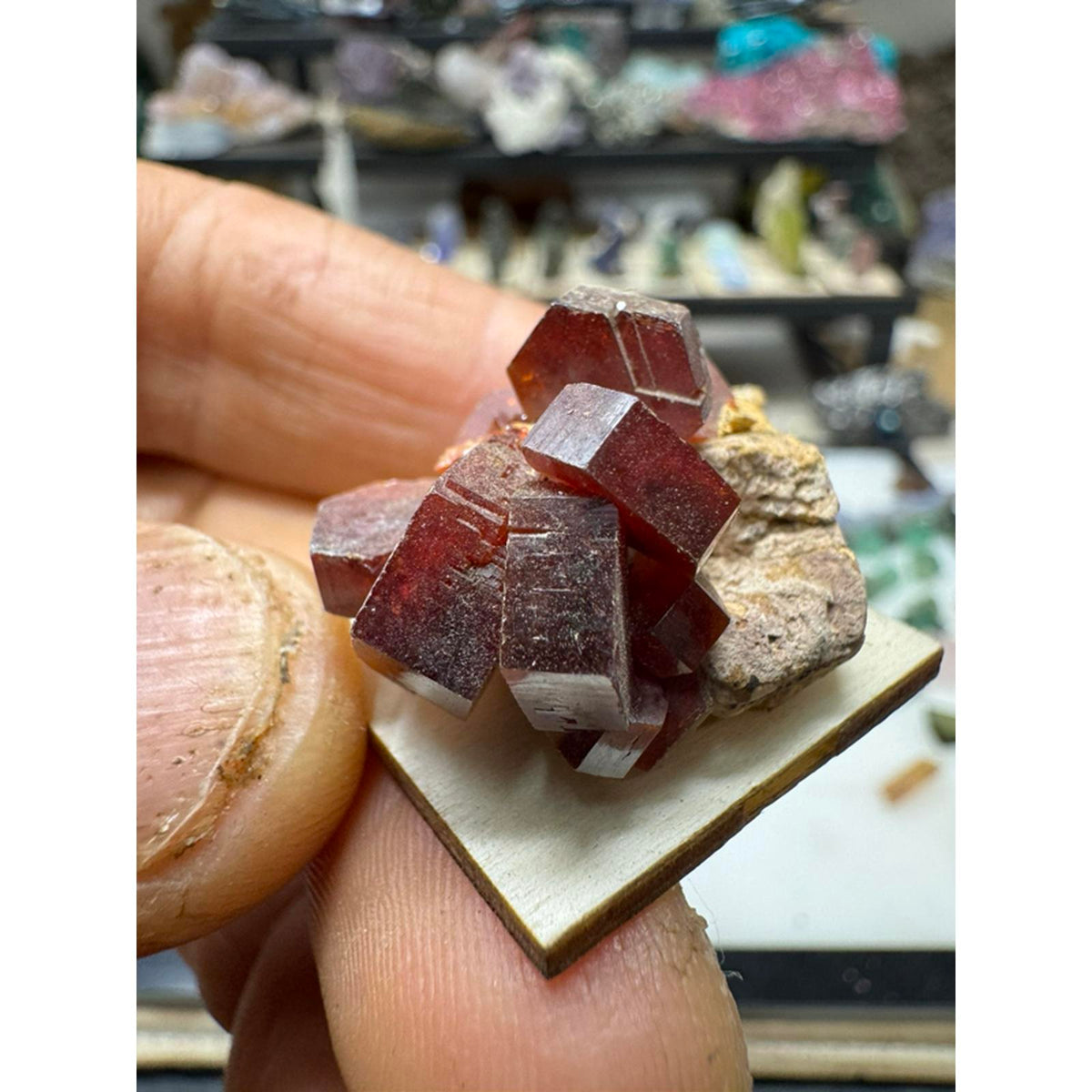 Vanadanite Cluster Specimen Large Crystals #229 - Natural Mineral Specimen with Large Crystals