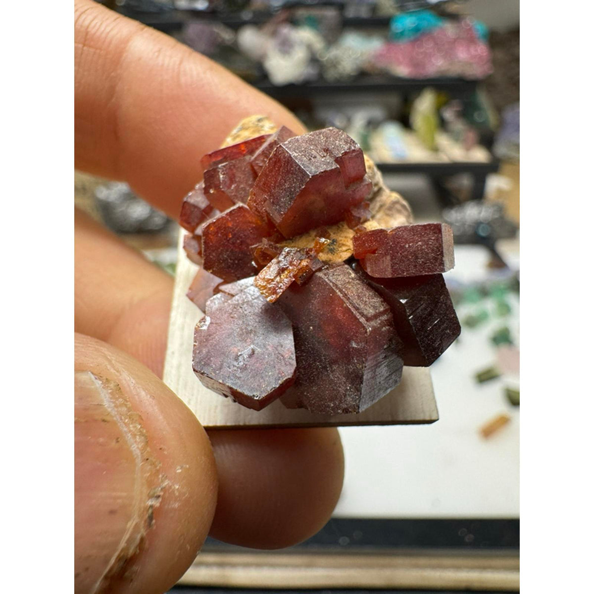 Vanadanite Cluster Specimen Large Crystals #229 - Natural Mineral Specimen with Large Crystals