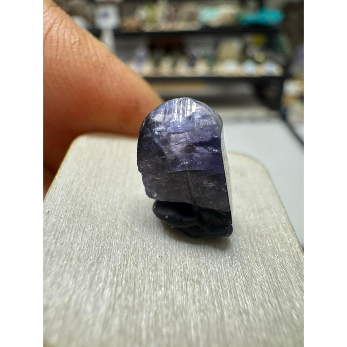 #216Tanzanite Terminated Crystal 3.8 Carats Natural Gemstone for Jewelry Making and Collecting