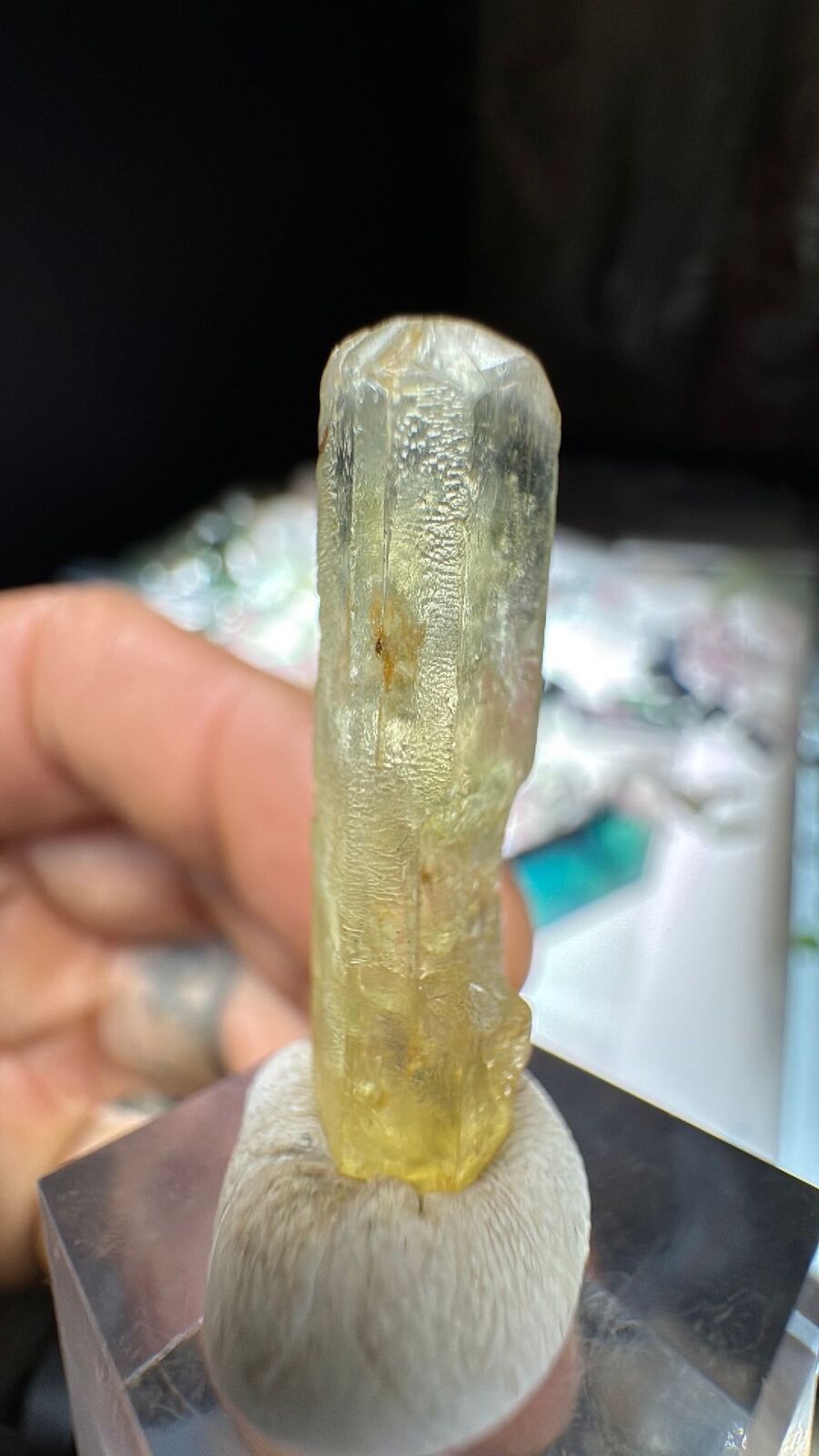 3.5g Heliodor Crystal Terminated 29