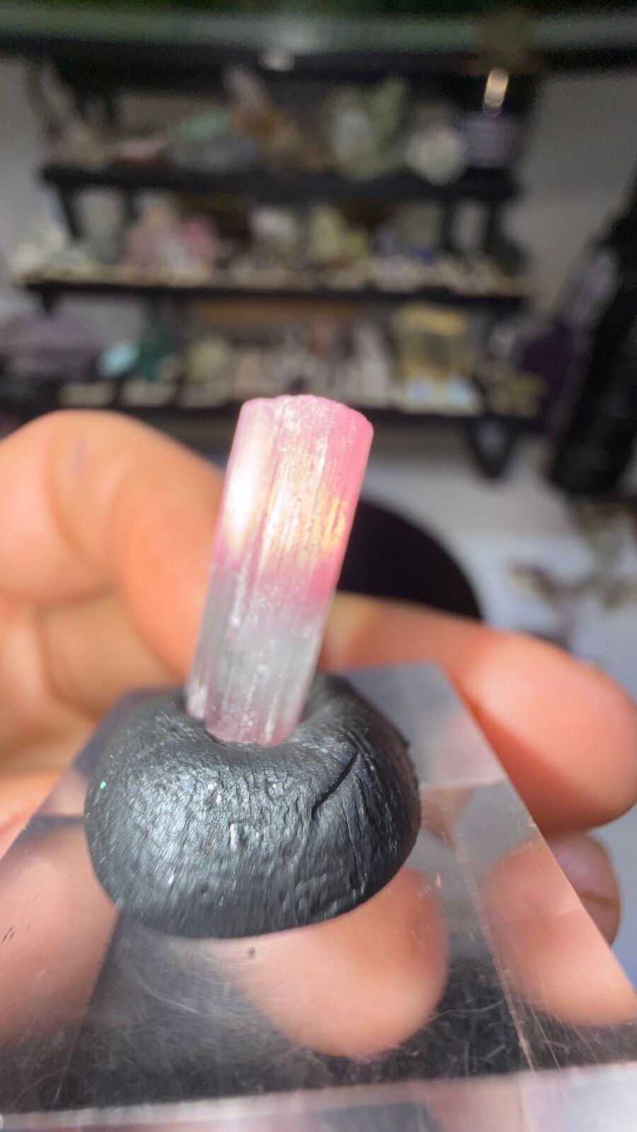 Tourmaline #181
