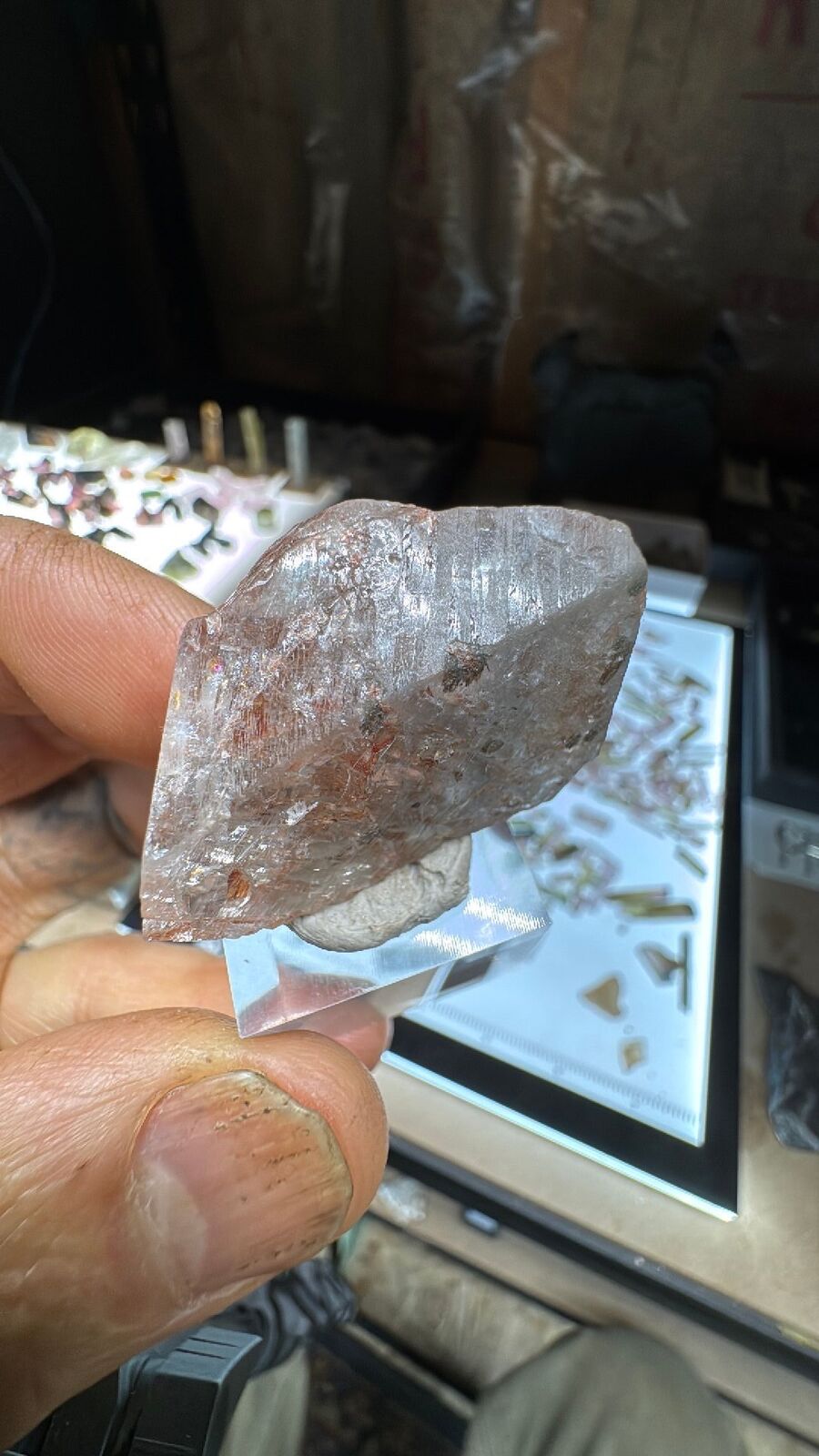 26.7g Colorado Tarryall Blue Topaz Crystal #38