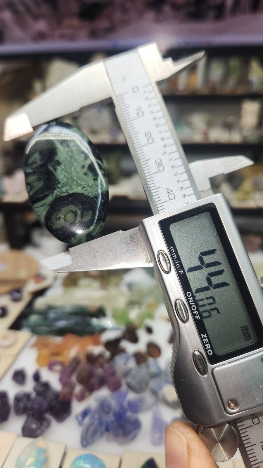 Kambaba Jasper #113