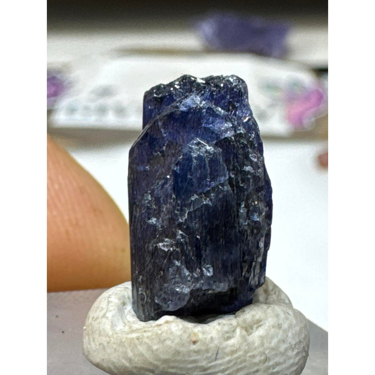 13.7 Carat Tanzanite Crystal Huge Terminated #234 Natural Gemstone for Collectors and Enthusiasts
