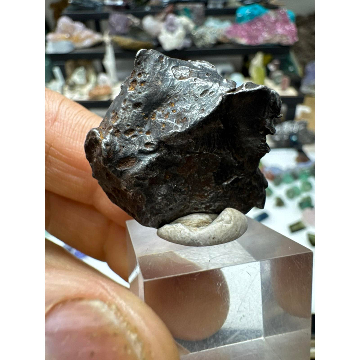 Sikhote Alin Meteorite 28.6 Grams from Russia #236 - Authentic Space Rock for Collectors and Enthusiasts