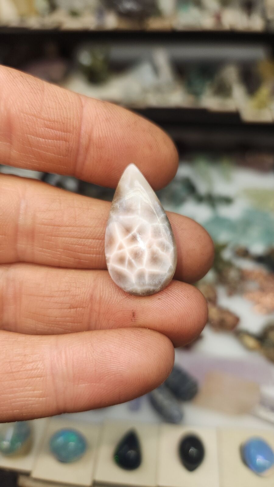 Naturalite #53