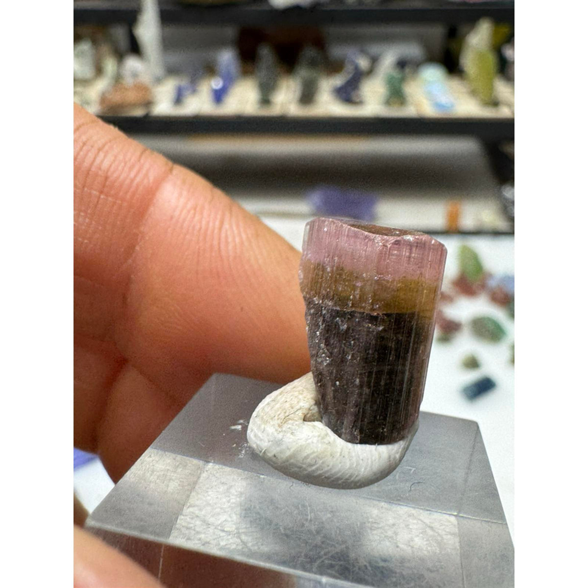 2.6 gram Stek Nala tourmaline crystal #241 from Pakistan