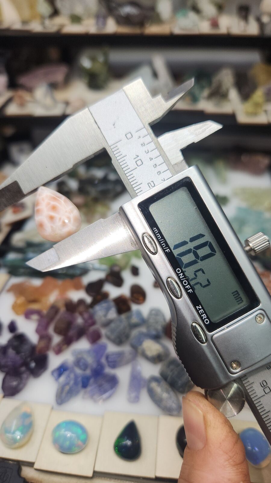 Naturalite #53