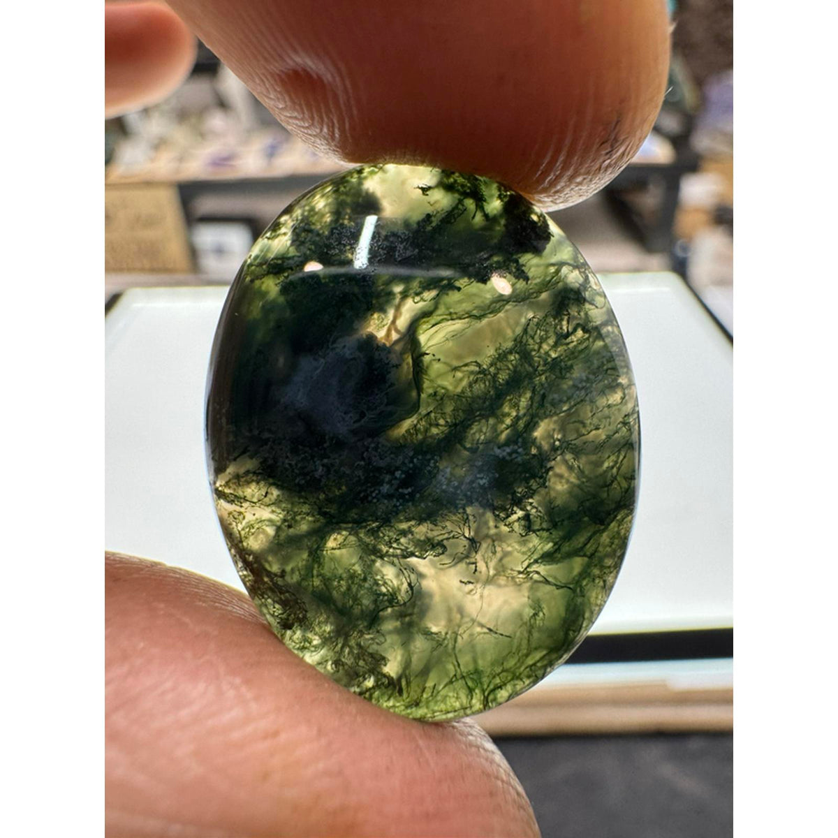 #224 3 Moss Agate Cabs - Natural Stone Jewelry Pieces for Crafting and Collecting
