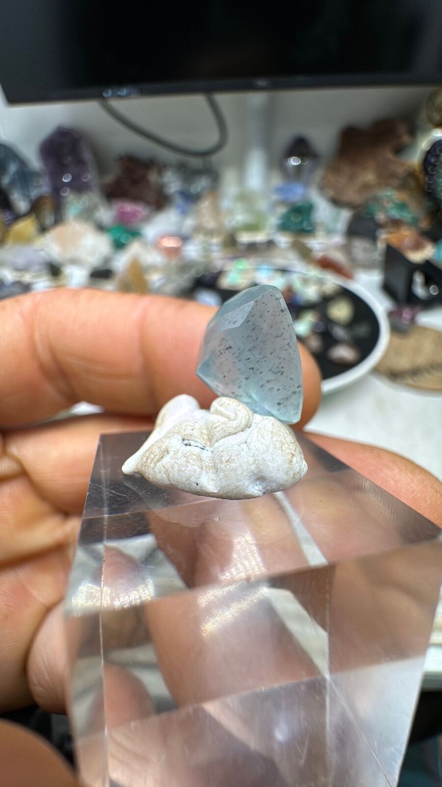 9.1ct Aquamarine Facet #25