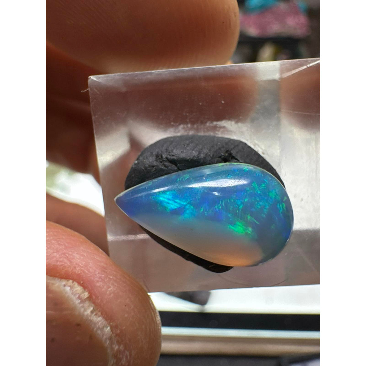 Ethiopian Opal Cab #257 - 3.4 Carat, Teardrop Shape, Vibrant Blue and Green Fire, High-Quality Gemstone