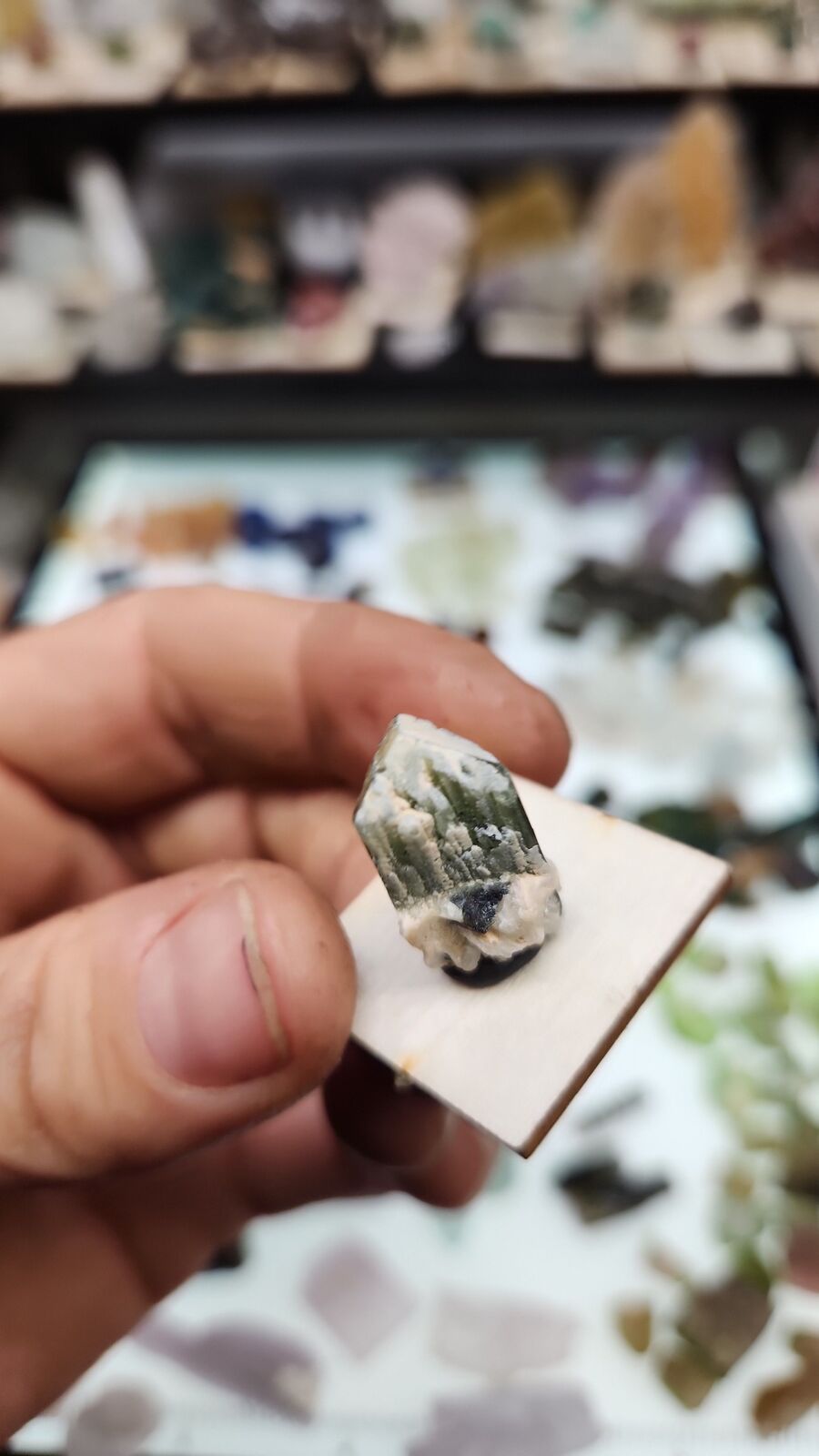 Stak Nala tourmaline #18