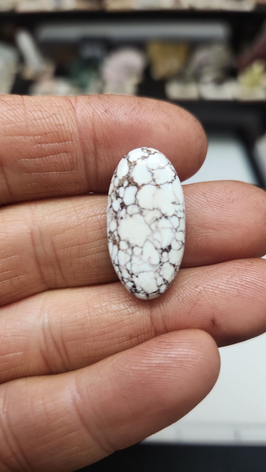 white horse turquoise # 208