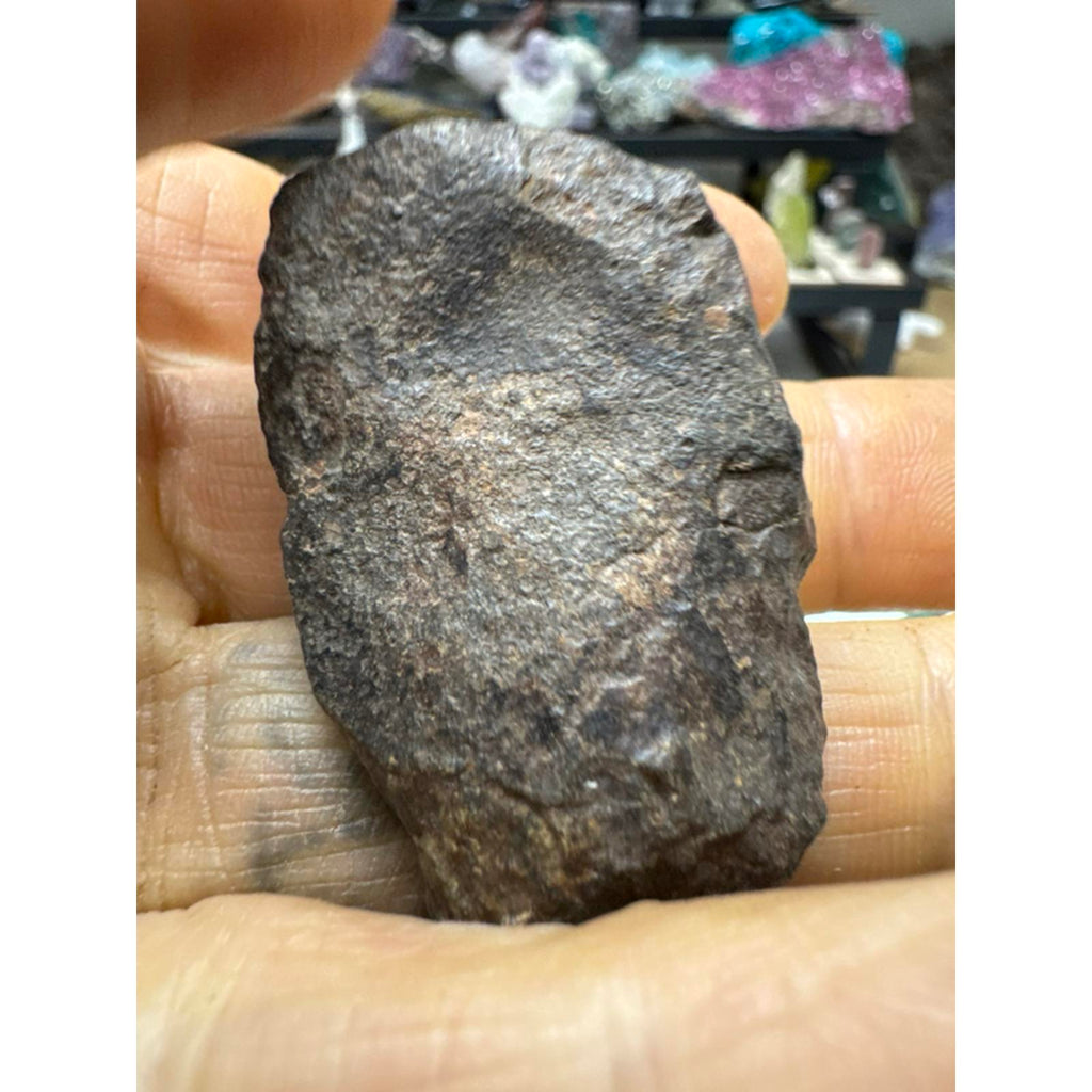 27 Gram Chondrite Meteorite Stony #261 from Morocco Authentic Space Rock for Collectors