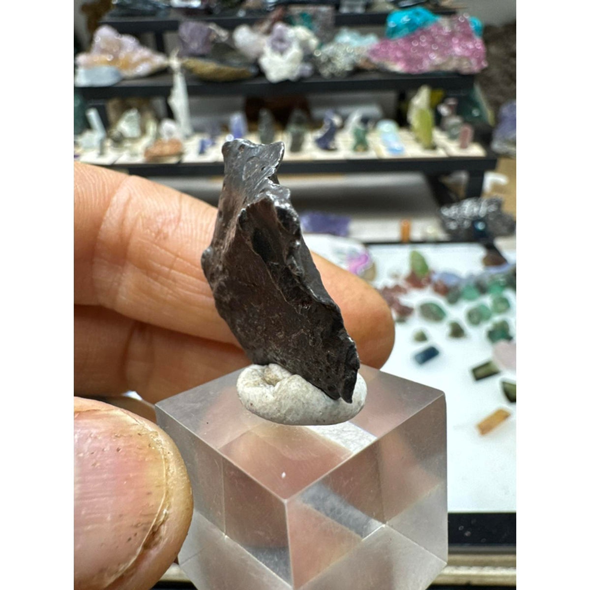 Sikhote Alin Meteorite 28.6 Grams from Russia #236 - Authentic Space Rock for Collectors and Enthusiasts