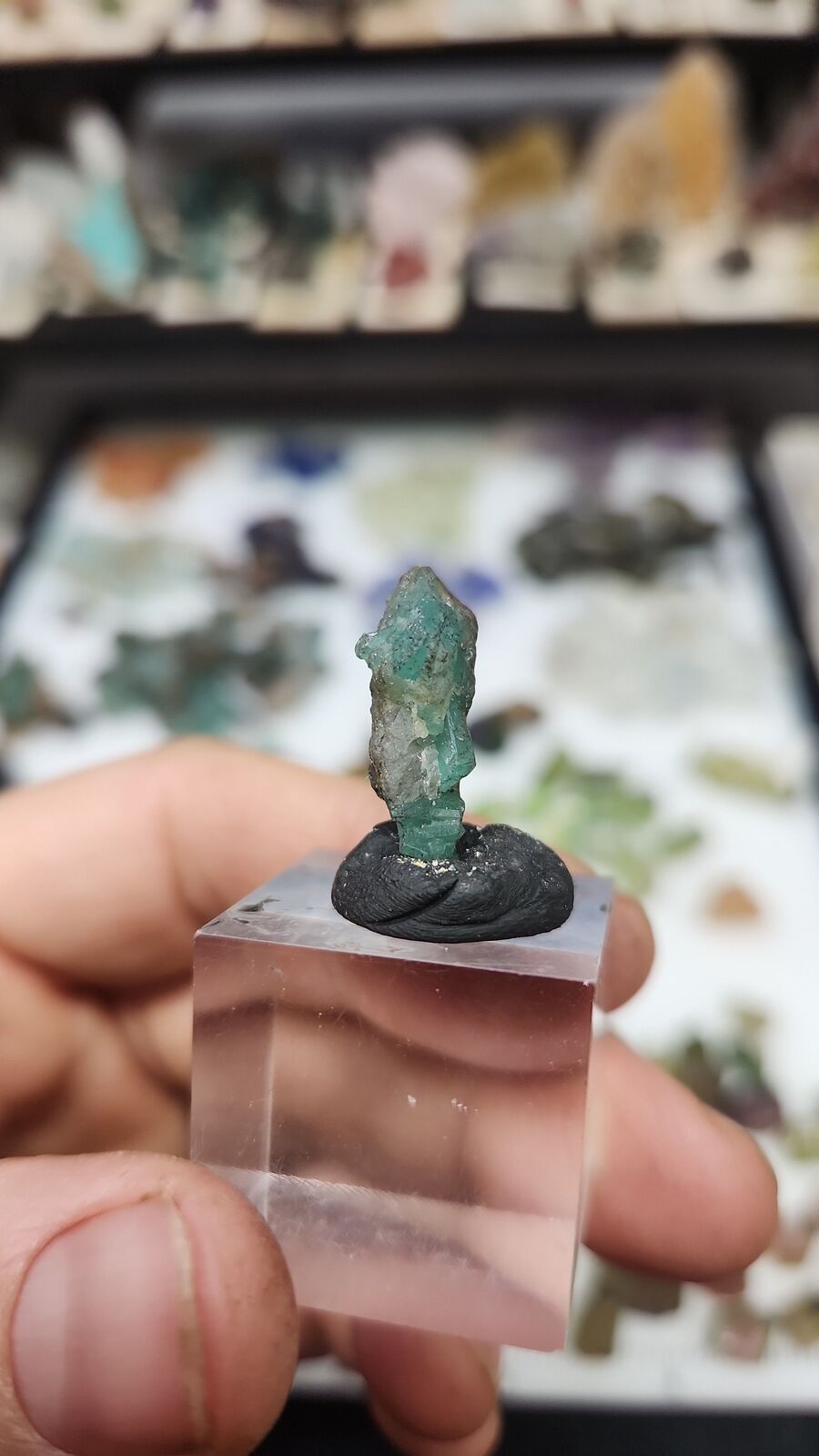 Emerald #77