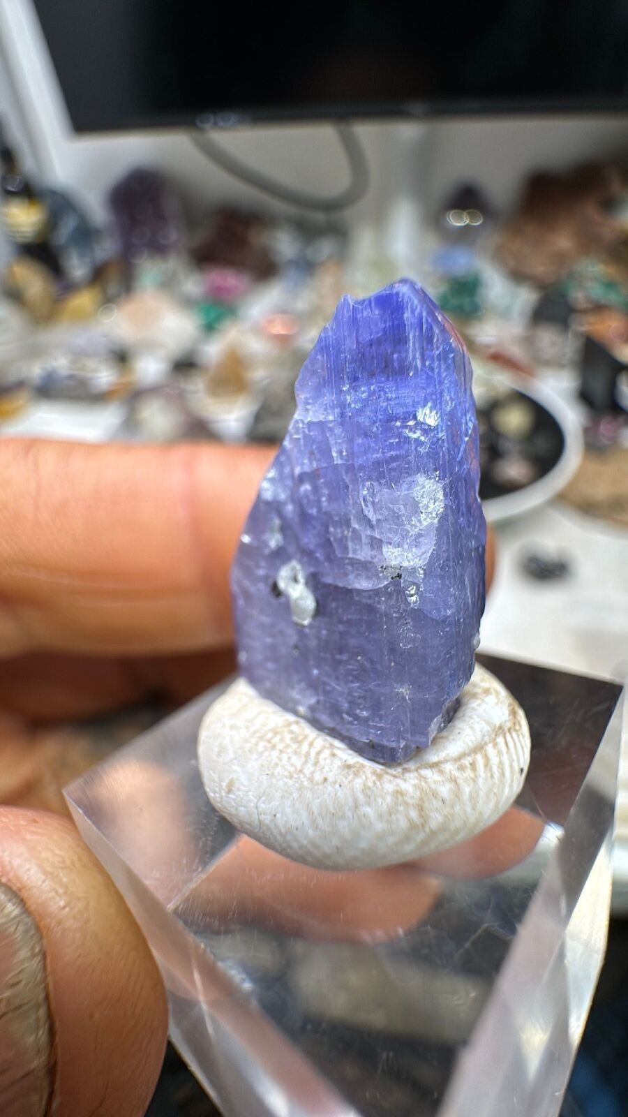 17.6ct Tanzanite Huge Crystal #67