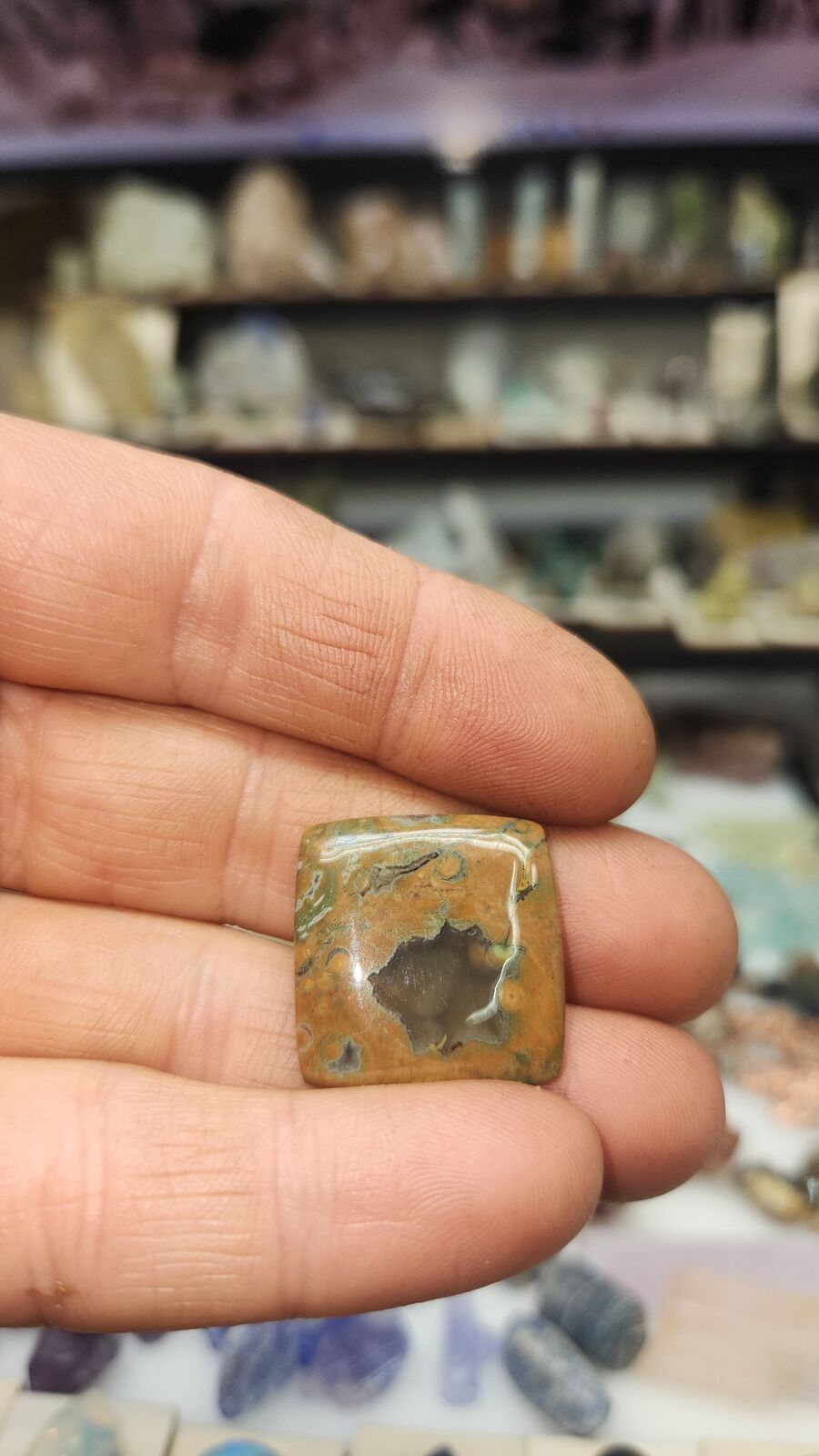 Rainforest Jasper #338