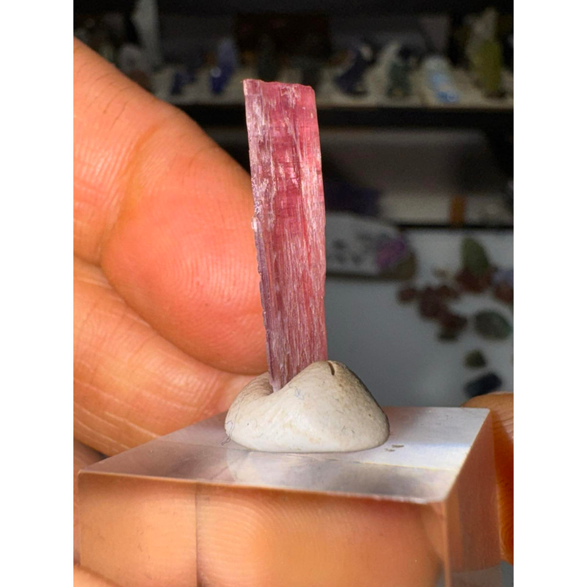 1.5 gram Rubelite tourmaline crystal #246 from Afghanistan