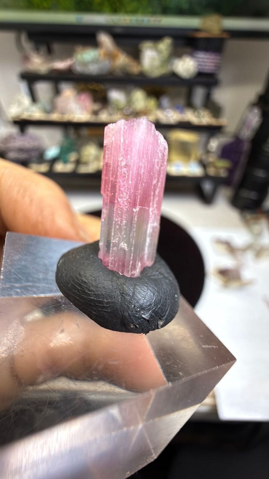 Tourmaline #181