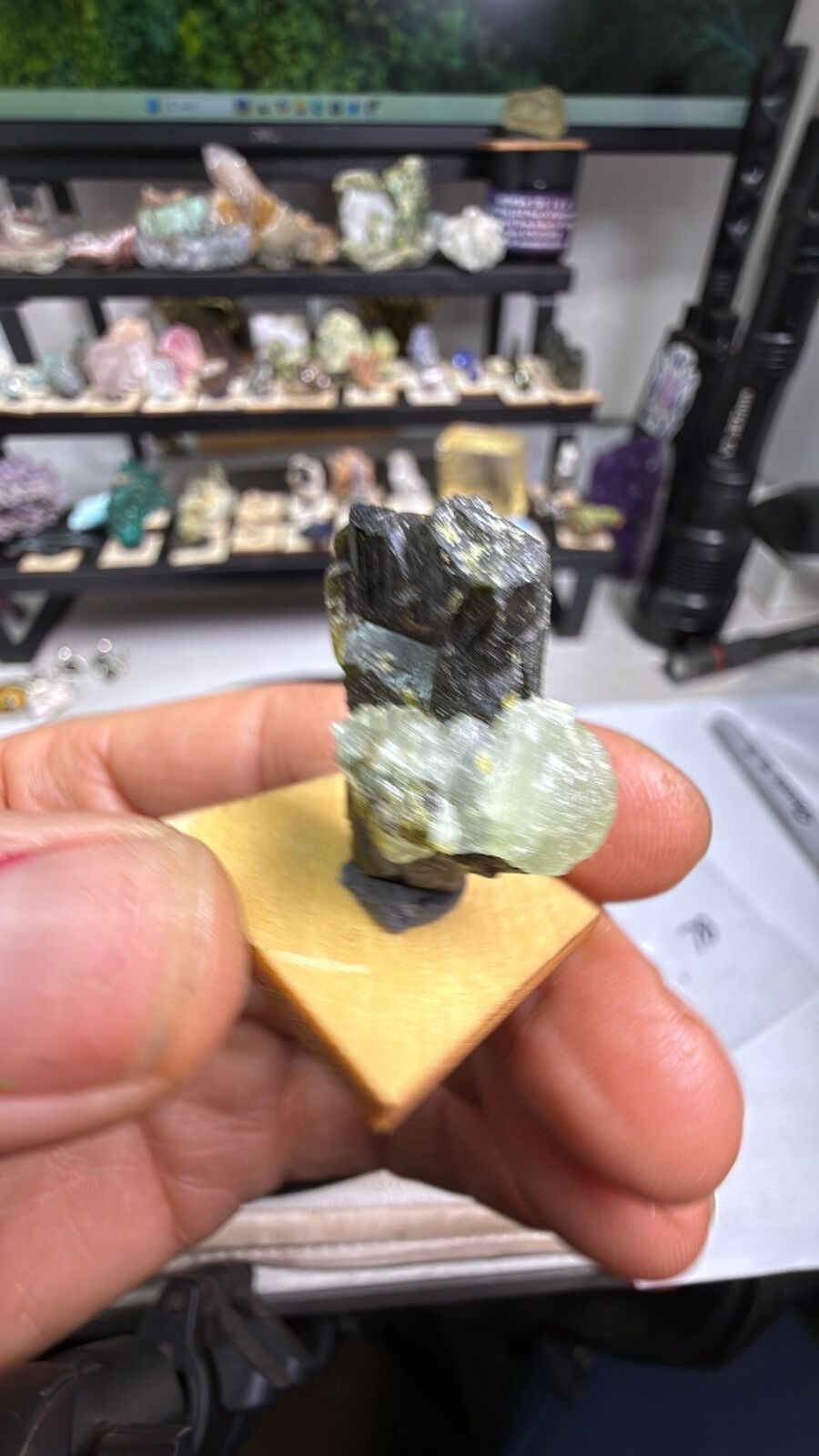 Present w/ epidote # 78