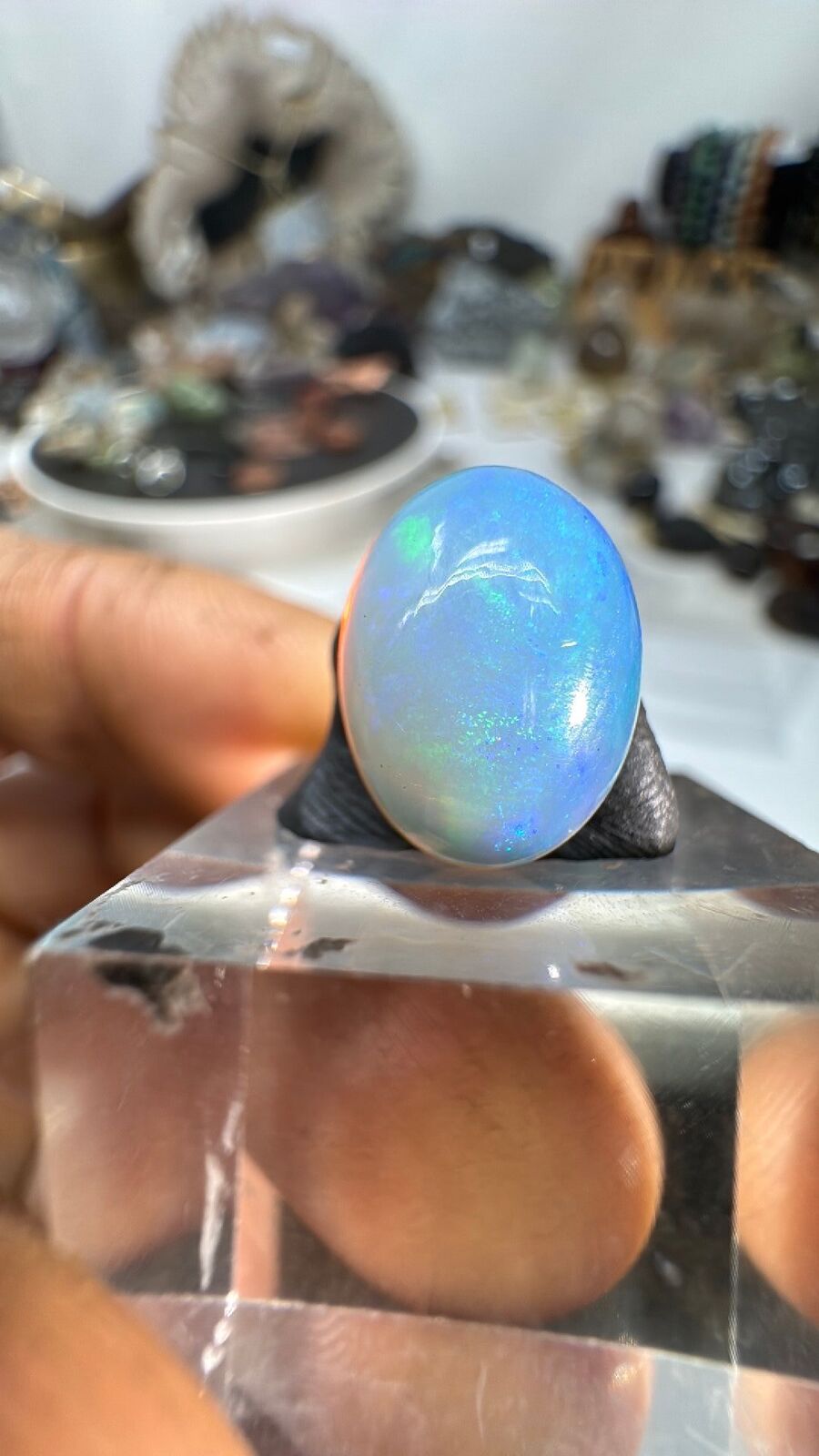3.6ct Opal Cab #93