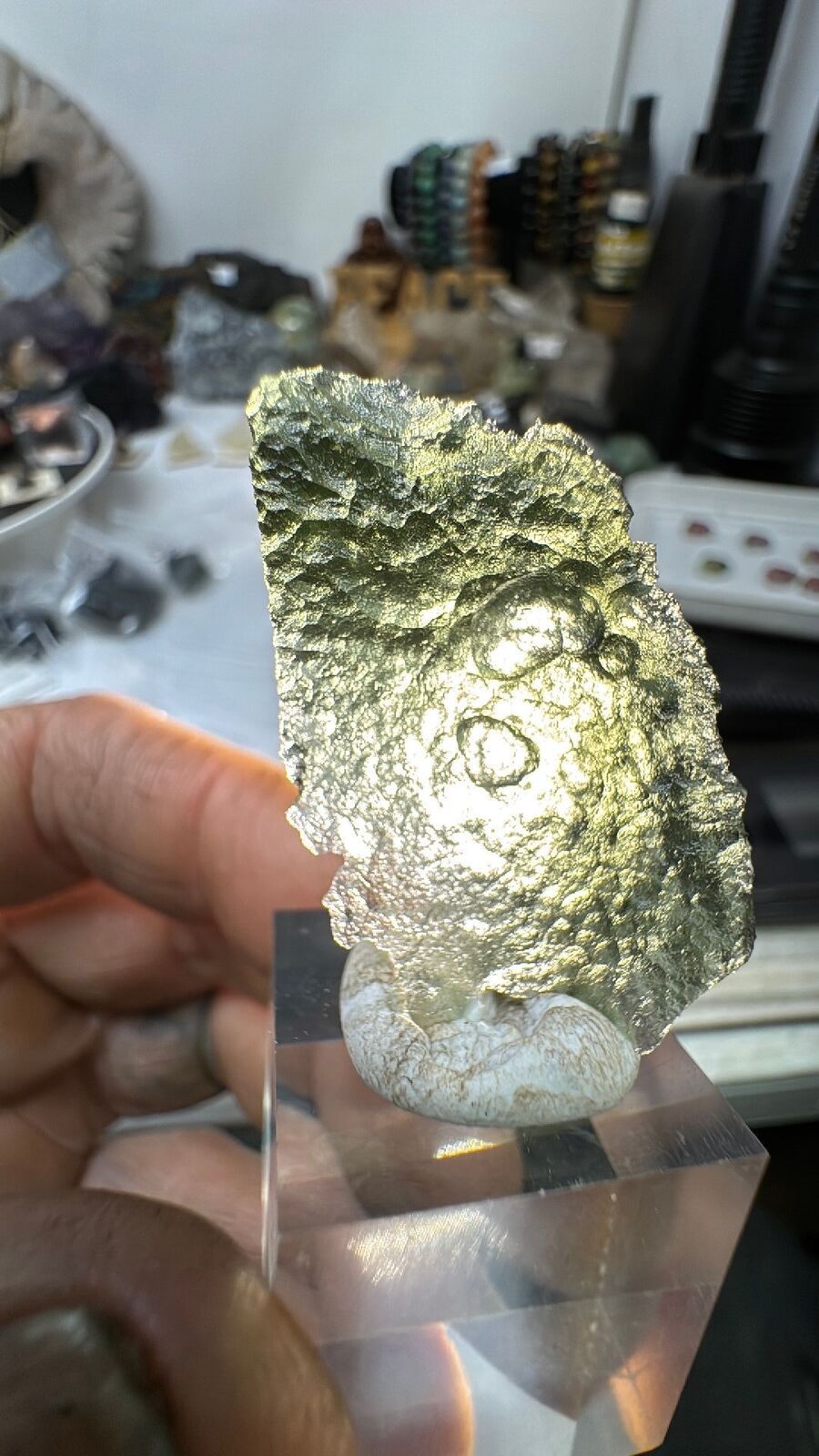 4.8g Moldavite Angel Wing #62