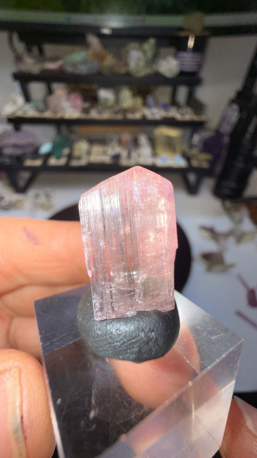 Tourmaline # 174