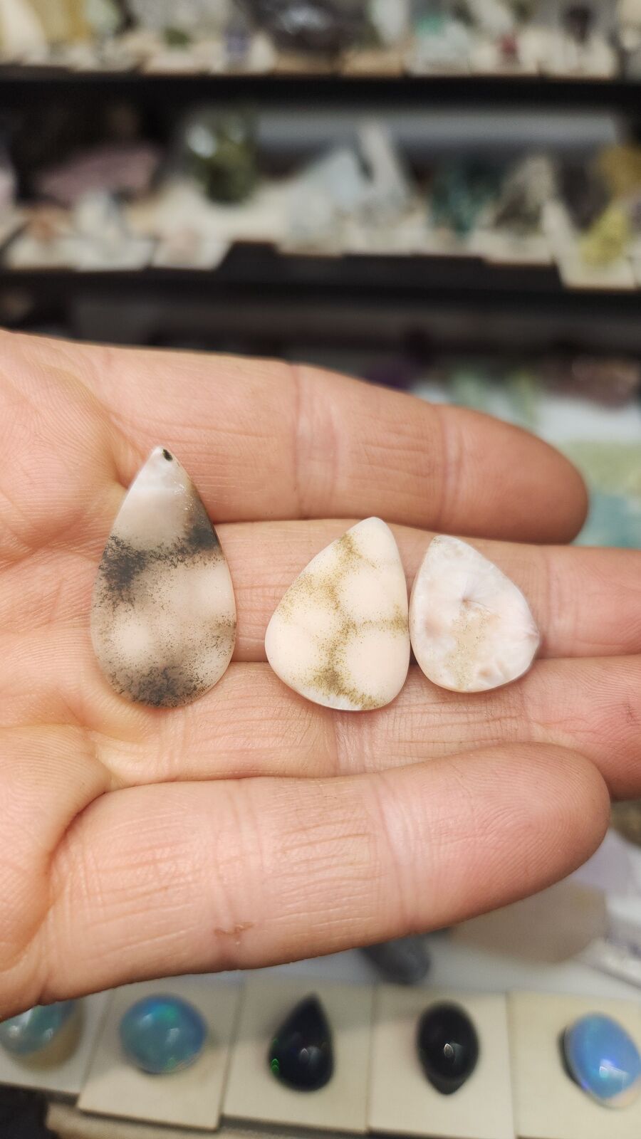 Naturalite #53