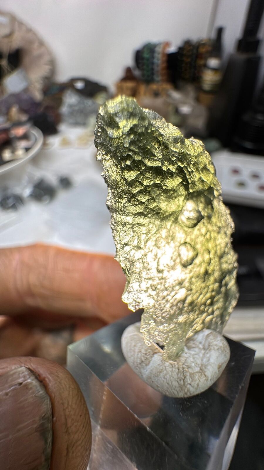 4.8g Moldavite Angel Wing #62