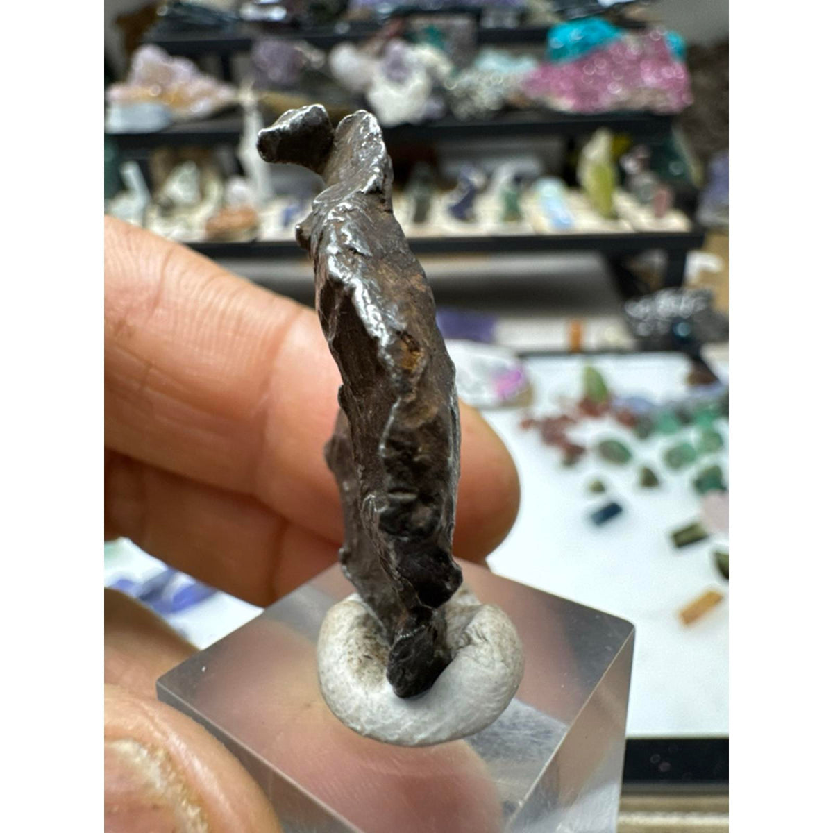 20.2 Gram Sinkhole Alin Meteorite from Russia #235 Authentic Space Rock Specimen for Collectors