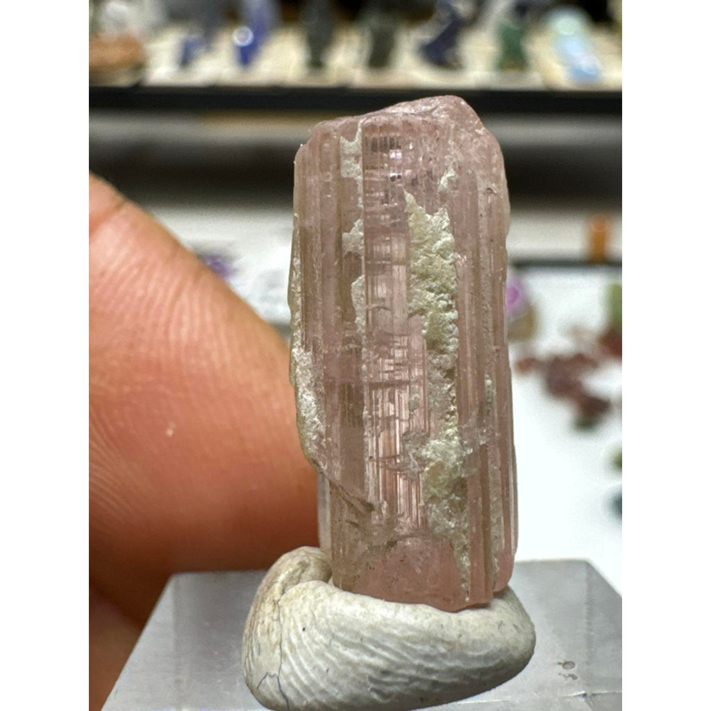 4.4 gram tourmaline crystal #248 from Afghanistan