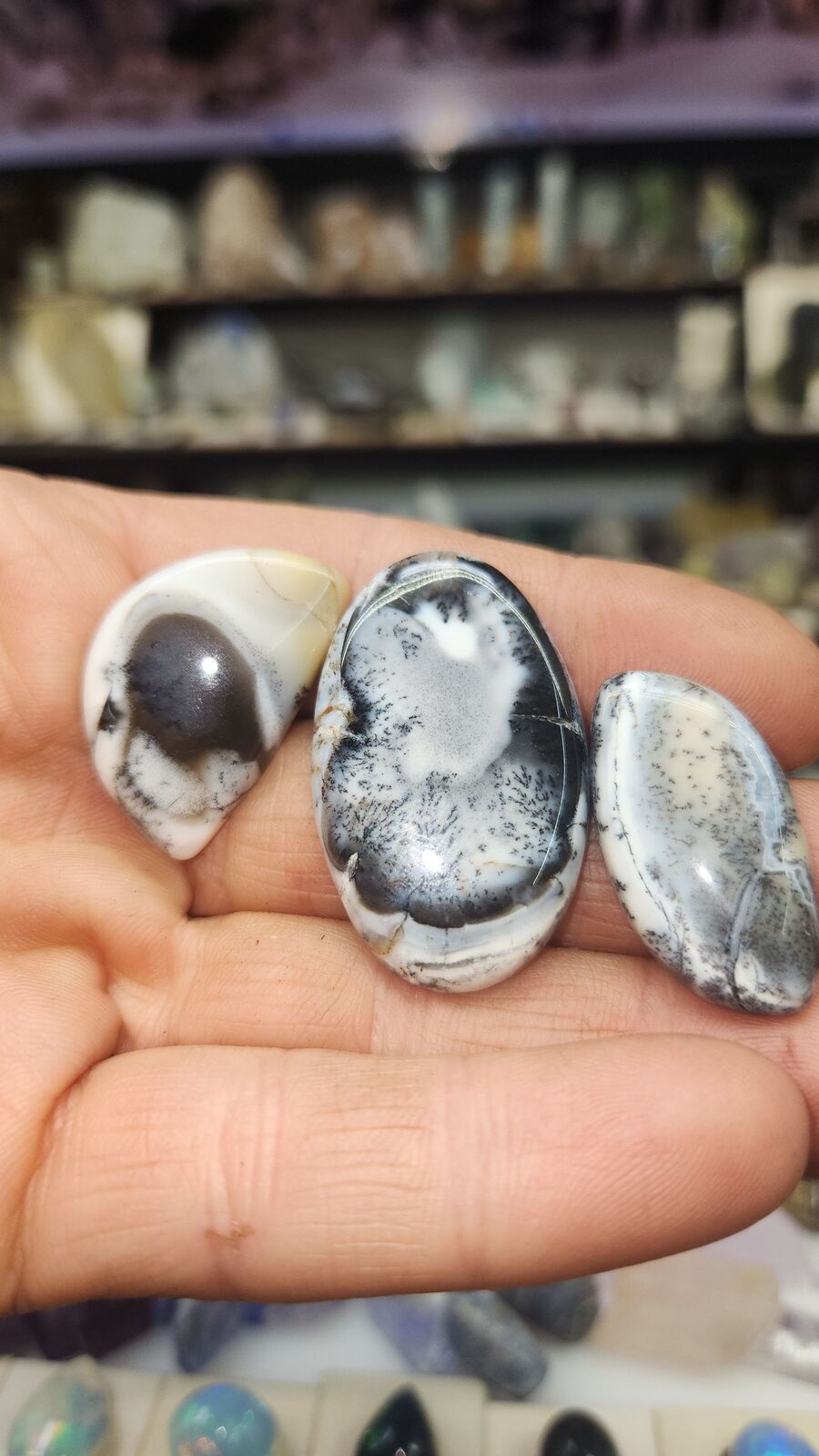 Dendritic Agate #192